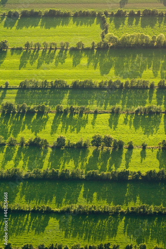 Dutch landscapes from out of a plane photo