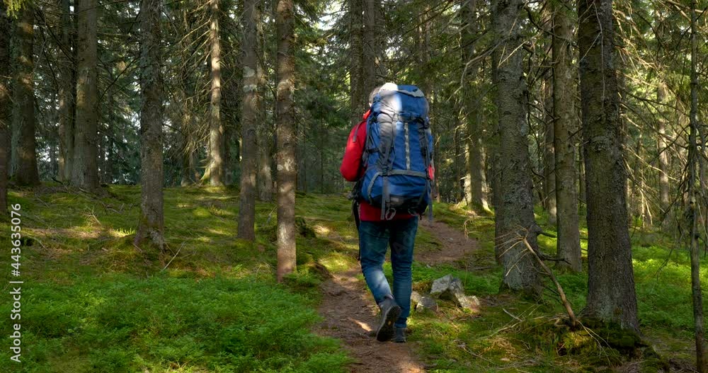 Tourist guy with backpack hiking on an adventure trip in natural landscape Tourist guy with backpack hiking on an adventure trip in natural landscape