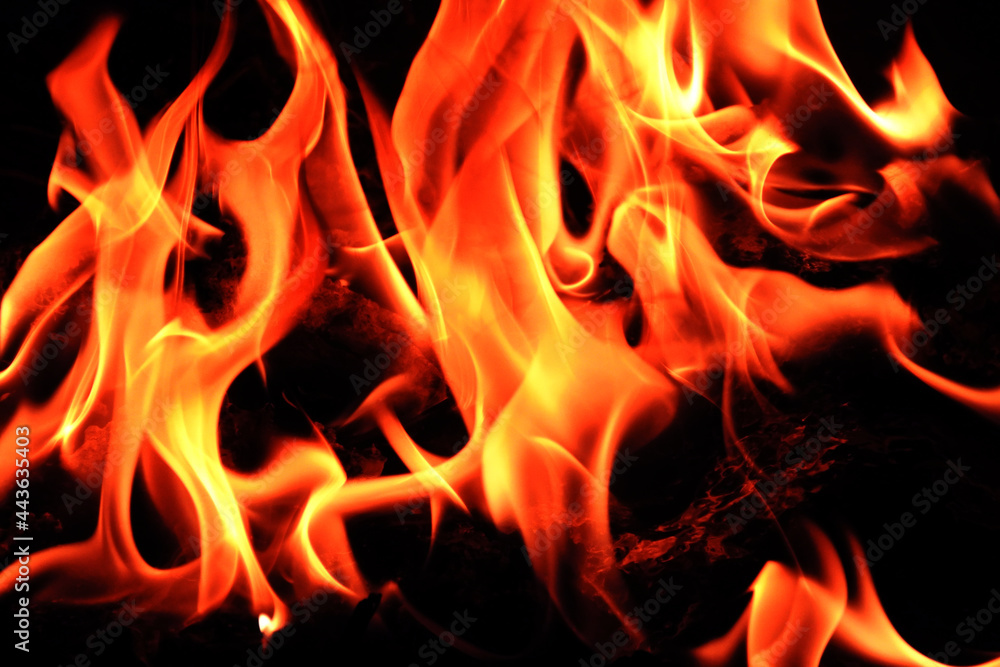 flames on a black background. flames on a black background.