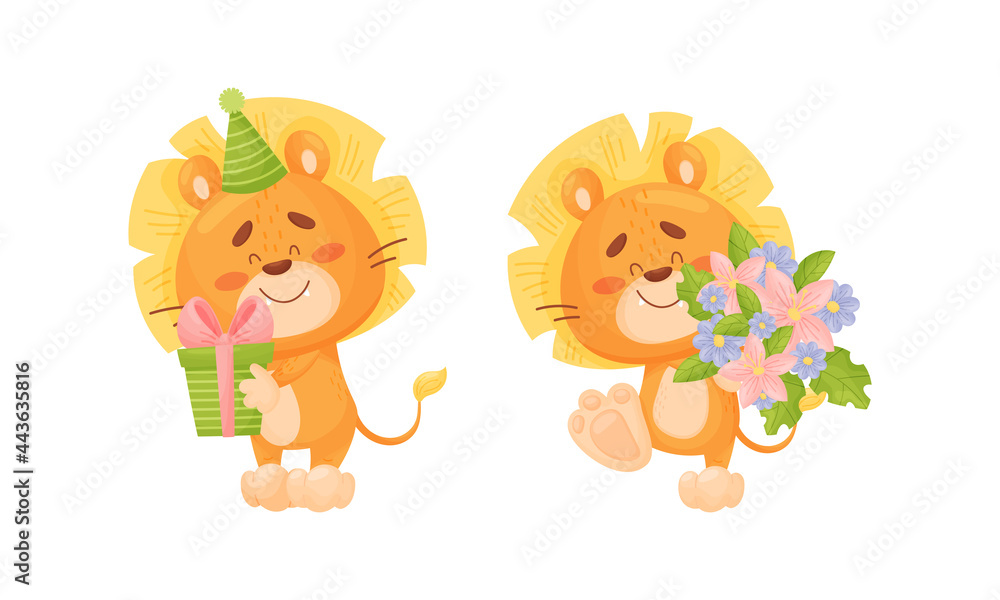 Cartoon Lion Cub Playful Character with Thick Mane Holding Gift Box and Bunch of Flowers Vector Set Cartoon Lion Cub Playful Character with Thick Mane Holding Gift Box and Bunch of Flowers Vector Set