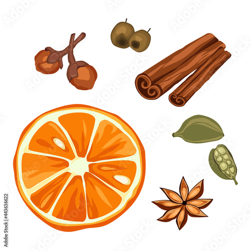 Drawing of popular bakery spices isolated on white background. Vanilla flower, cinnamon stick, ginger clove and aniseed confectionery spices, orange and berries.