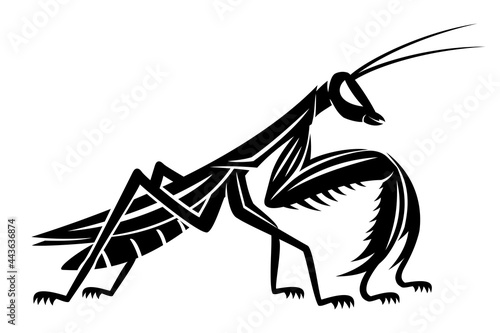 Illustration with black mantis insect on white background.
