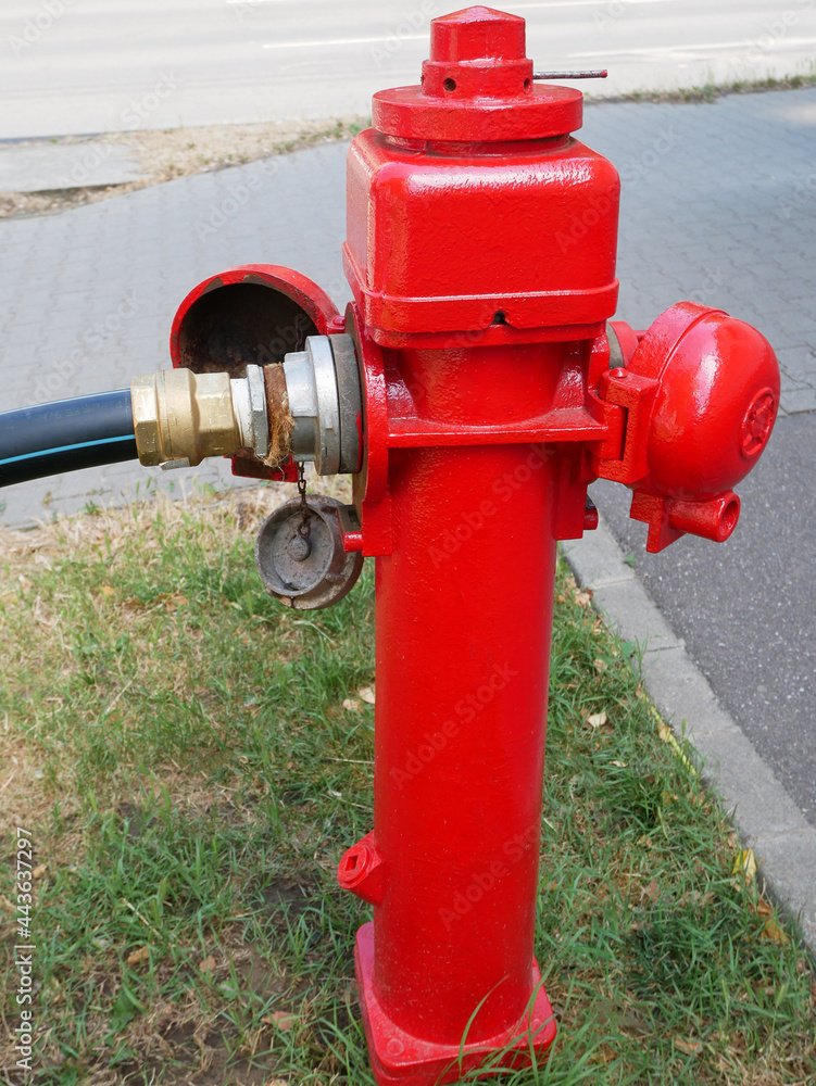 Red fire hydrant on the street