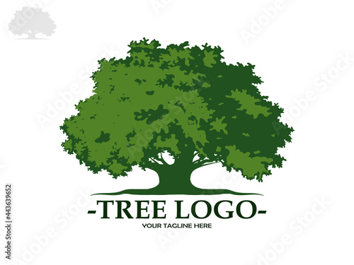 Tree and root silhouette isolated on white background. Tree and roots LOGO style.	