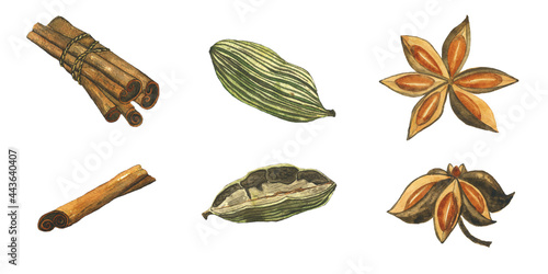Set of spice cinnamon, anise star, cardamom isolated on white background. Watercolor hand drawing illustration. Perfect for food design.