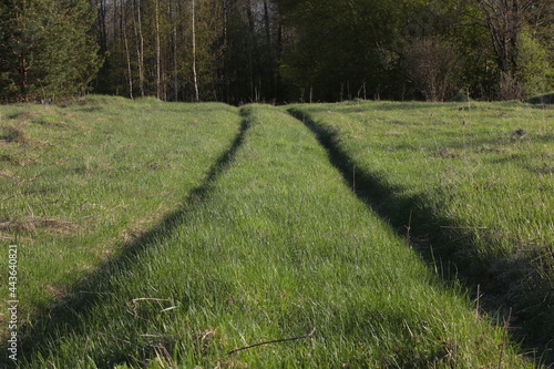 The Road On The Field. Rural landscape. Country Background