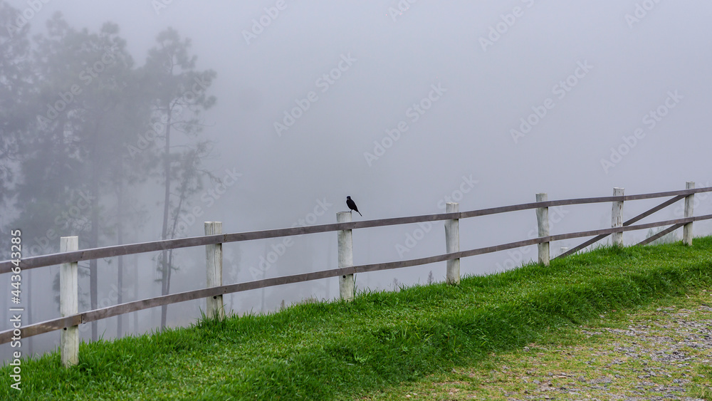 Fototapeta premium PICO DO ITAPEVA - CAMPOS DO JORDÃO - SÃO PAULO - BRASIL