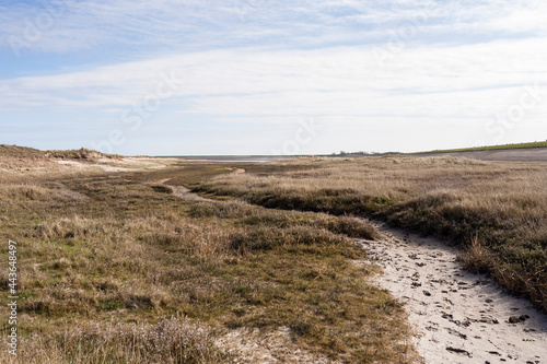 Landscape at Texel