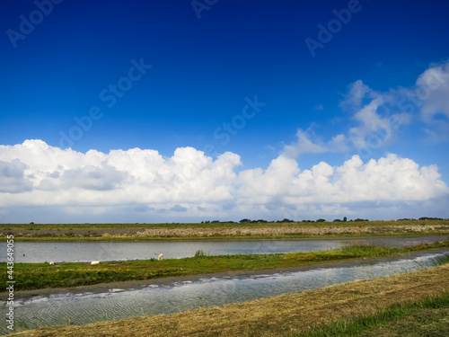 Fototapeta Naklejka Na Ścianę i Meble -  Landscape at Texel
