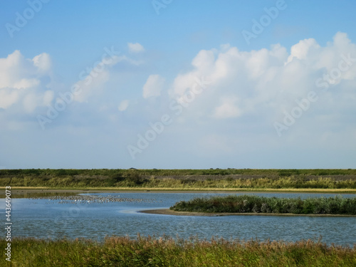 Landscape at Texel © AGAMI