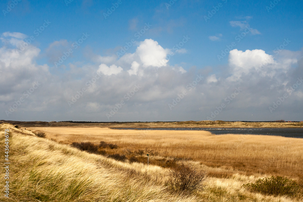 Landscape at Texel Landscape at Texel
