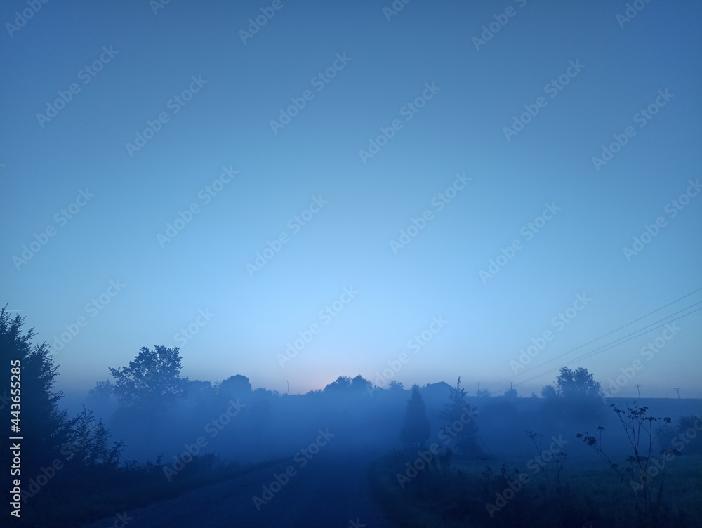 Fototapeta premium Thick autumn fog rises at sunrise over the Ukrainian village