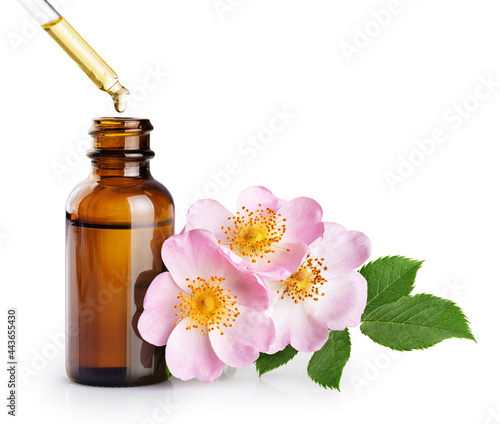 Dropper bottle with essential oil from rose. Flower rose hips isolated on white background. With clipping path.