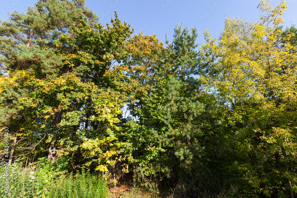 sunny weather in the autumn