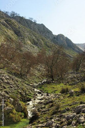 Arroyo en la montaña con árboles a punto de brotar en primavera. Parque Nacional Picos de Europa, Asturias (España).
