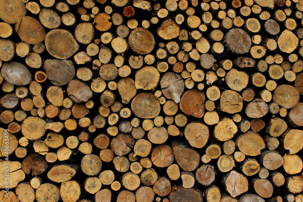 Wooden background texture. Abstract backdrop.
Wooden background texture. Abstract backdrop.