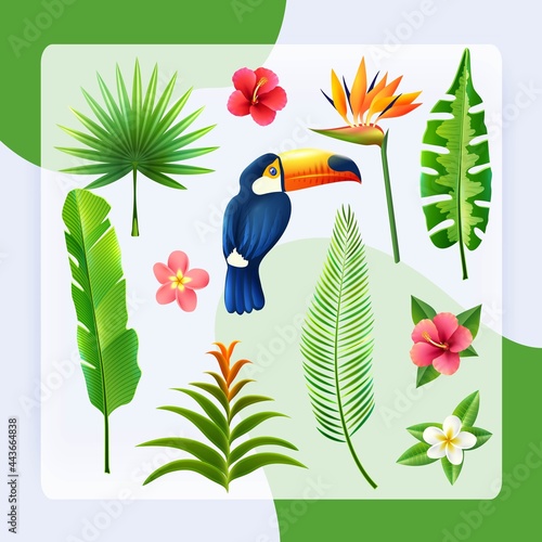 Tropical Leaves Set vector design illustration