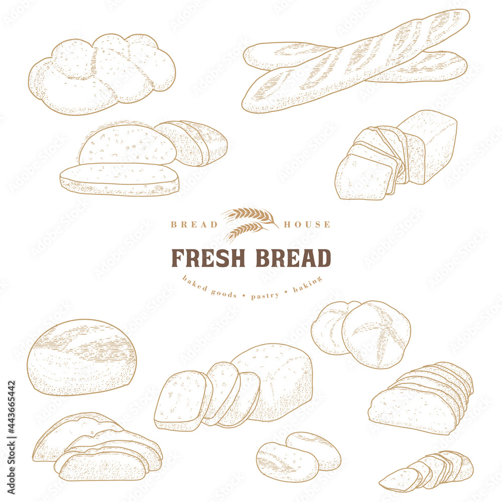 Set of natural elements of bread sketch vector illustration Set of natural elements of bread sketch vector illustration