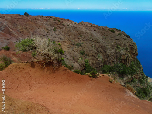 A steep red-brown seashore, overgrown with sparse vegetation