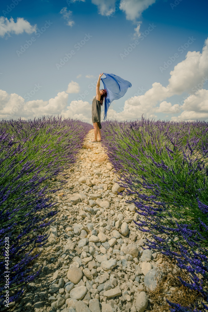 Femme dans un champ de Lavande sur le plateau de Valensole Femme dans un champ de Lavande sur le plateau de Valensole