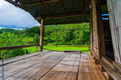 Fototapeta Naklejka Na Ścianę i Meble -  Wooden hut for farmer to rest beside the green rice fields in Chiang Mai, Thailand.