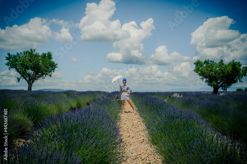 Wallpaper Mural Femme dans un champ de Lavande sur le plateau de Valensole Torontodigital.ca