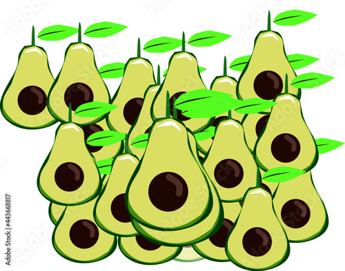 Avocado fruit pattern vector for background