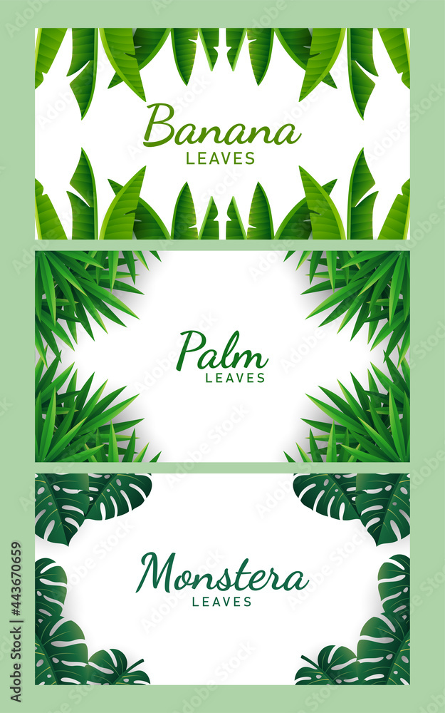 Set of tropical leaves background illustration vector