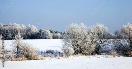 landscape in the winter time