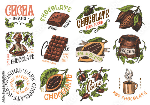 Cocoa Beans and Chocolate. Woman and cup of drink. Vintage badge or logo set for t-shirts, typography, shop or signboards. Hand Drawn engraved sketch. Vector illustration.
