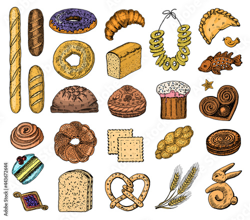 Bakery products set. Donuts bagels, cookies and and baguette, pie and croissant and Easter cake. Engraved hand drawn in old sketch and vintage style for label and menu bakery shop. organic food.