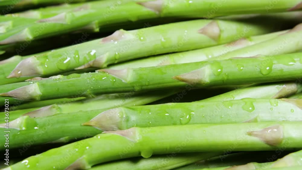 Asparagus, Fresh raw organic green Asparagus sprouts closeup, Healthy vegetarian food. Raw vegetables, market. Vegan backdrop. Slow motion 4K UHD video Asparagus, Fresh raw organic green Asparagus sprouts closeup, Healthy vegetarian food. Raw vegetables, market. Vegan backdrop. Slow motion 4K UHD video