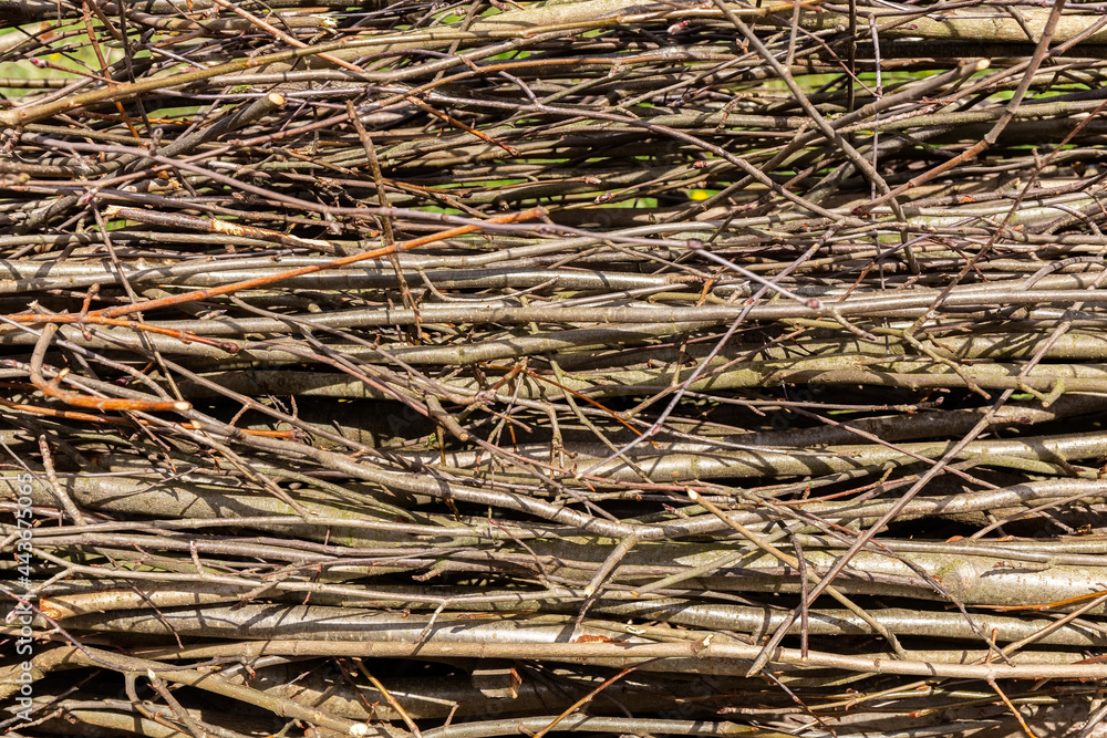 Branches and twigs. Texture. Natural background. A fence made of dry tree branches. Country style. Branches and twigs. Texture. Natural background. A fence made of dry tree branches. Country style.