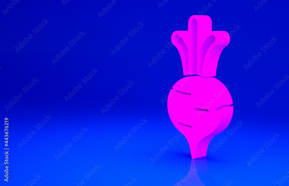 Pink Fresh beet with leaf icon isolated on blue background. Natural Root. Vegetable Ingredient for food. Minimalism concept. 3d illustration 3D render Pink Fresh beet with leaf icon isolated on blue background. Natural Root. Vegetable Ingredient for food. Minimalism concept. 3d illustration 3D render