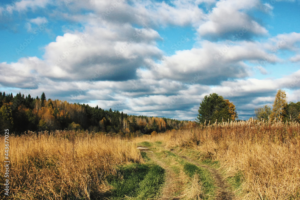 landscape with sky and clouds landscape with sky and clouds