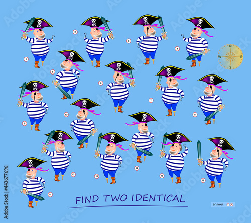 Logic puzzle game for children and adults. Find two identical pirates. Memory exercises for seniors. Page for kids brain teaser book. Developing spatial thinking. IQ test. Play online.
