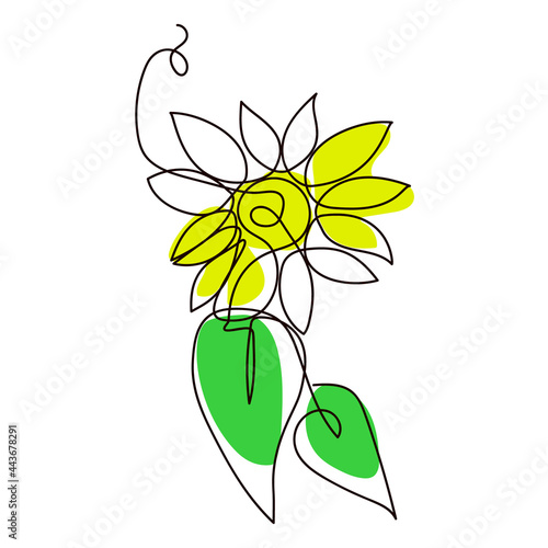 Vector illustration of a sunflower drawn with a single line on a white background. The illustration can be used as a summer greeting card, for advertising, as a print on a T-shirt.
