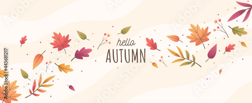 Hello Autumn with Colorful Leaves Background. Banner