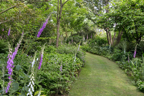 Le Jardin de Valériane, Buchy, 76, Normandie, Seine Maritime photo