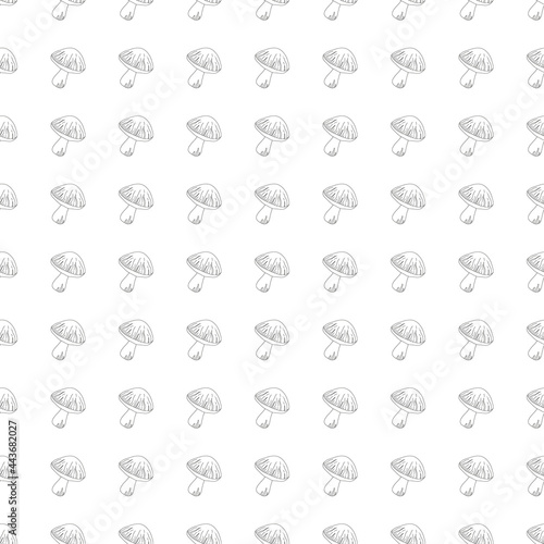 Black outline mushrooms seamless pattern on white background. Hand drawing food vector illustration.