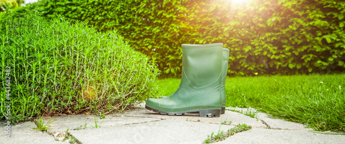 Gummistiefel im Kräutergarten