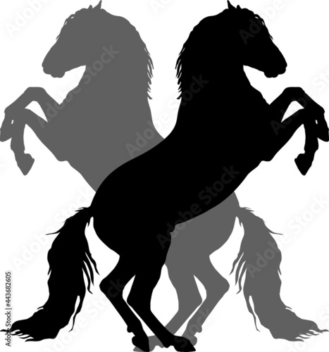 silhouettes of two Spanish horses standing on their hind legs, isolated on a white and landscape background. photo