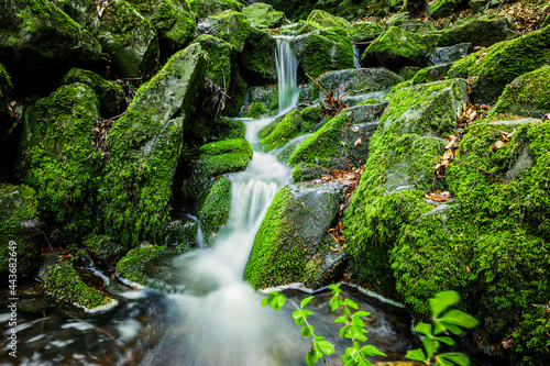 Quellwasser in bemoosten Steinen
