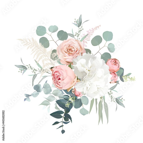Blush pink garden roses, ranunculus, hydrangea flowers vector design bouquet