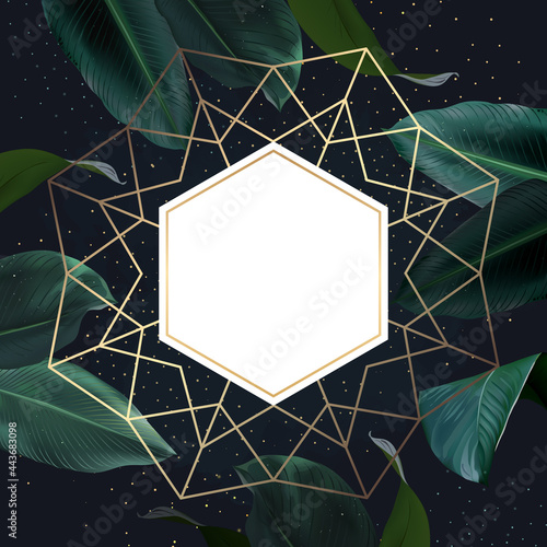 Tropical elegant frame arranged from exotic emerald leaves