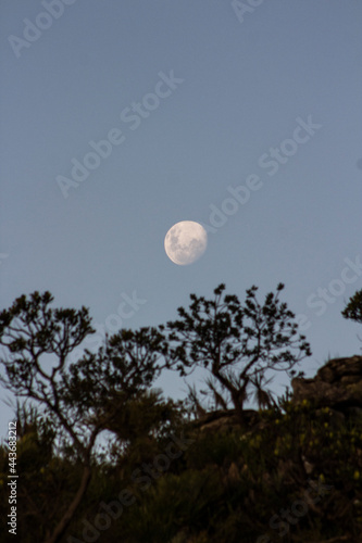 moon in the sky - Serra do Cipó, MINAS GERAIS