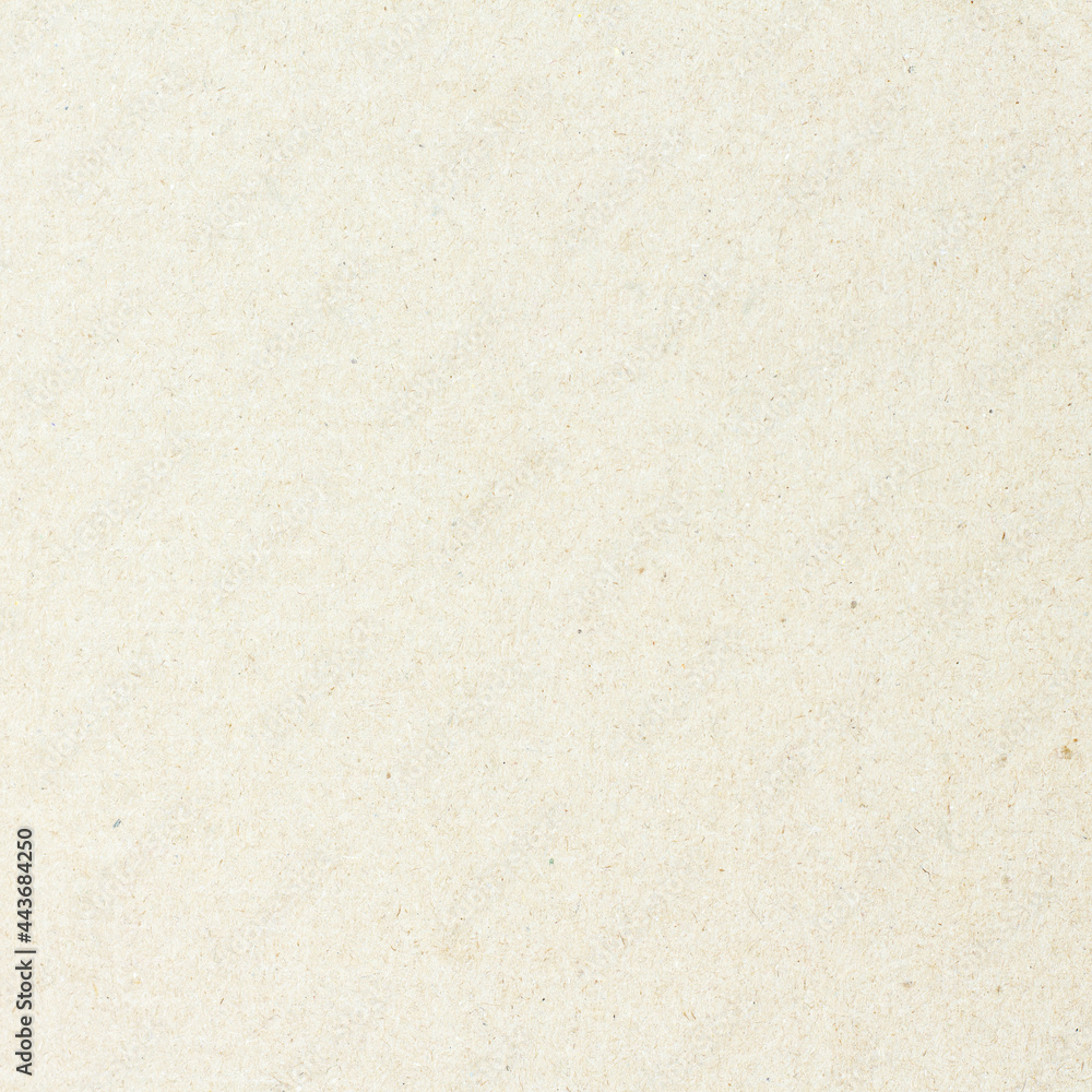 White beige paper background texture light rough textured spotted blank copy space background in beige yellow,brown White beige paper background texture light rough textured spotted blank copy space background in beige yellow,brown