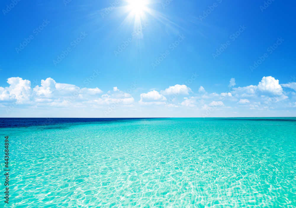 Beautiful tropical Maldives island with beach. - obrazy, fototapety, plakaty 