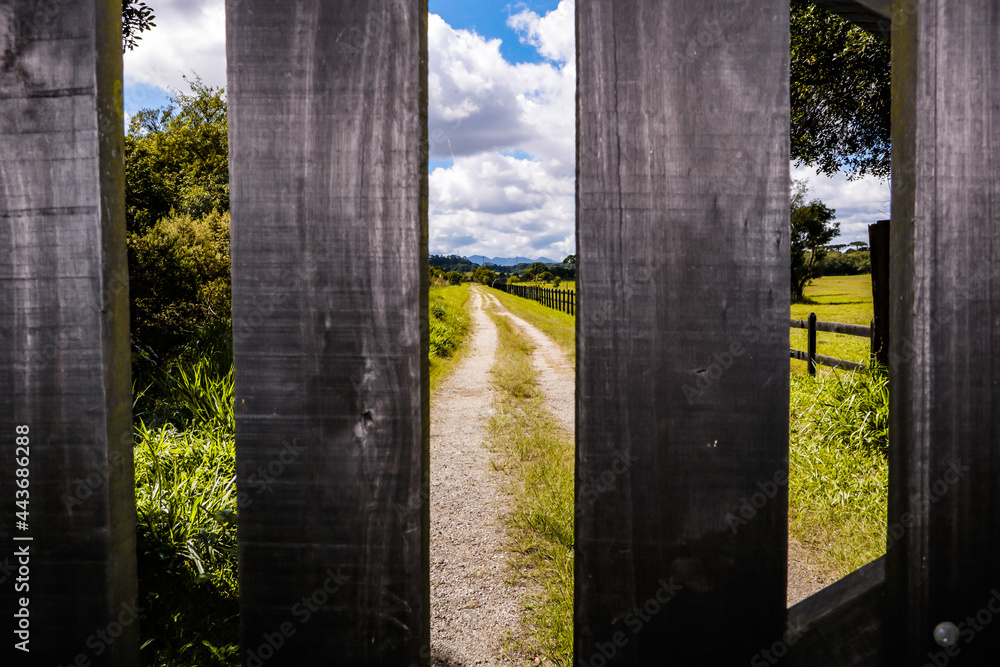 Wooden gate in the foreground and in the background the bucolic image of a dirt road with the blue sky between clouds.
