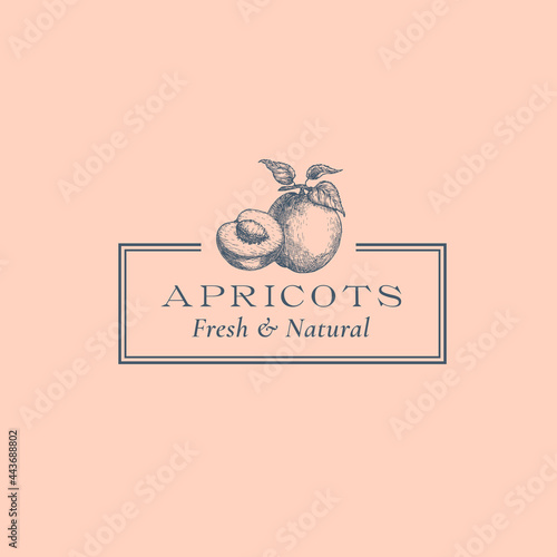 Apricot with a Slice Abstract Vector Sign, Symbol or Logo Template. Hand Drawn Fruits Sillhouette Sketch with Elegant Retro Typography and Frame. Vintage Luxury Emblem. Isolated